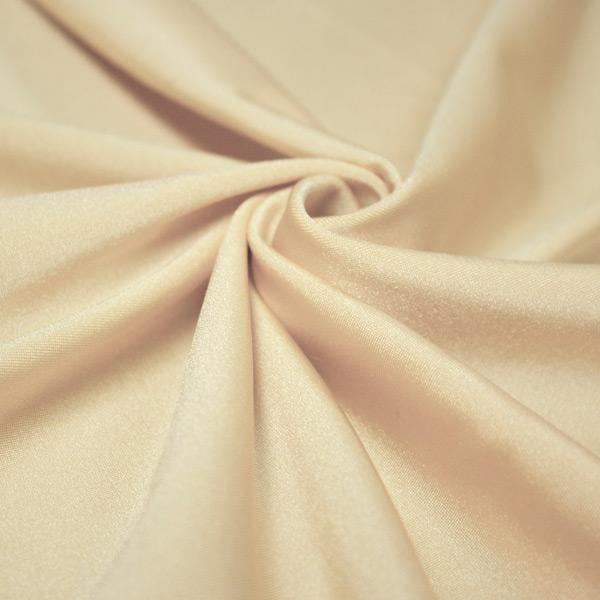 NTL2 - Shiny Nylon Spandex Fabric | Blue Moon Fabrics